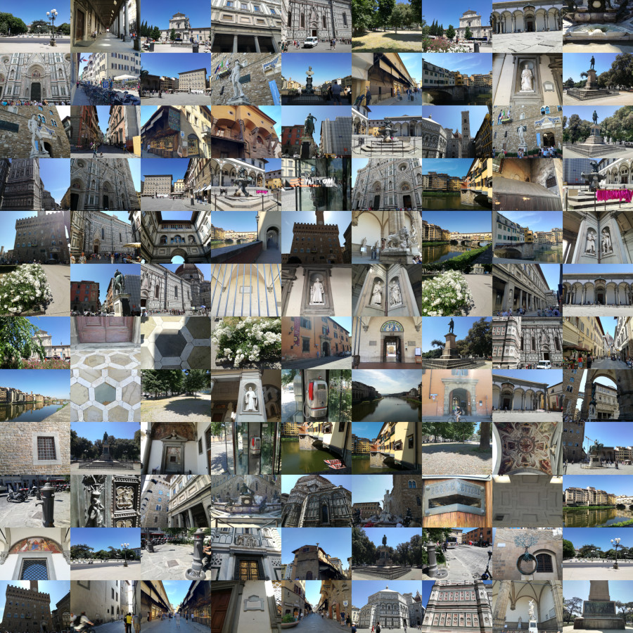 An collage of pictures contained in the FloreView dataset.